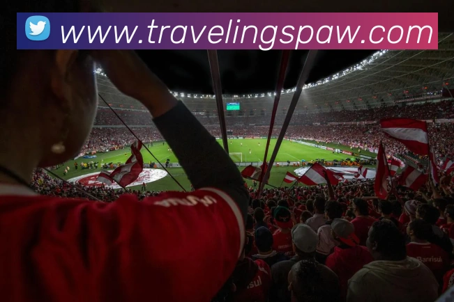 九游j9最新网站全站App